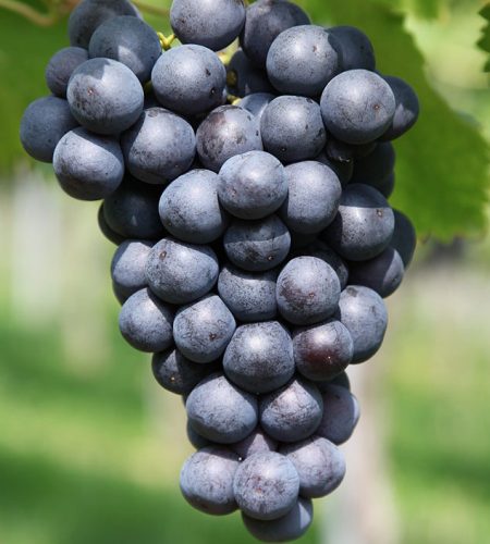 image 02.jpg